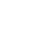 Evolution games at Madmax Casino